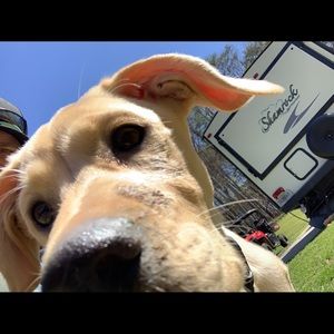 Meet your Posher, Jon